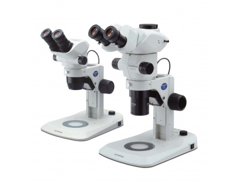 実体顕微鏡　Olympus SZ61
